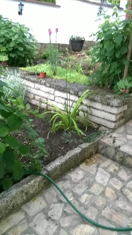 Villa Elina Balchik Eksteriør billede