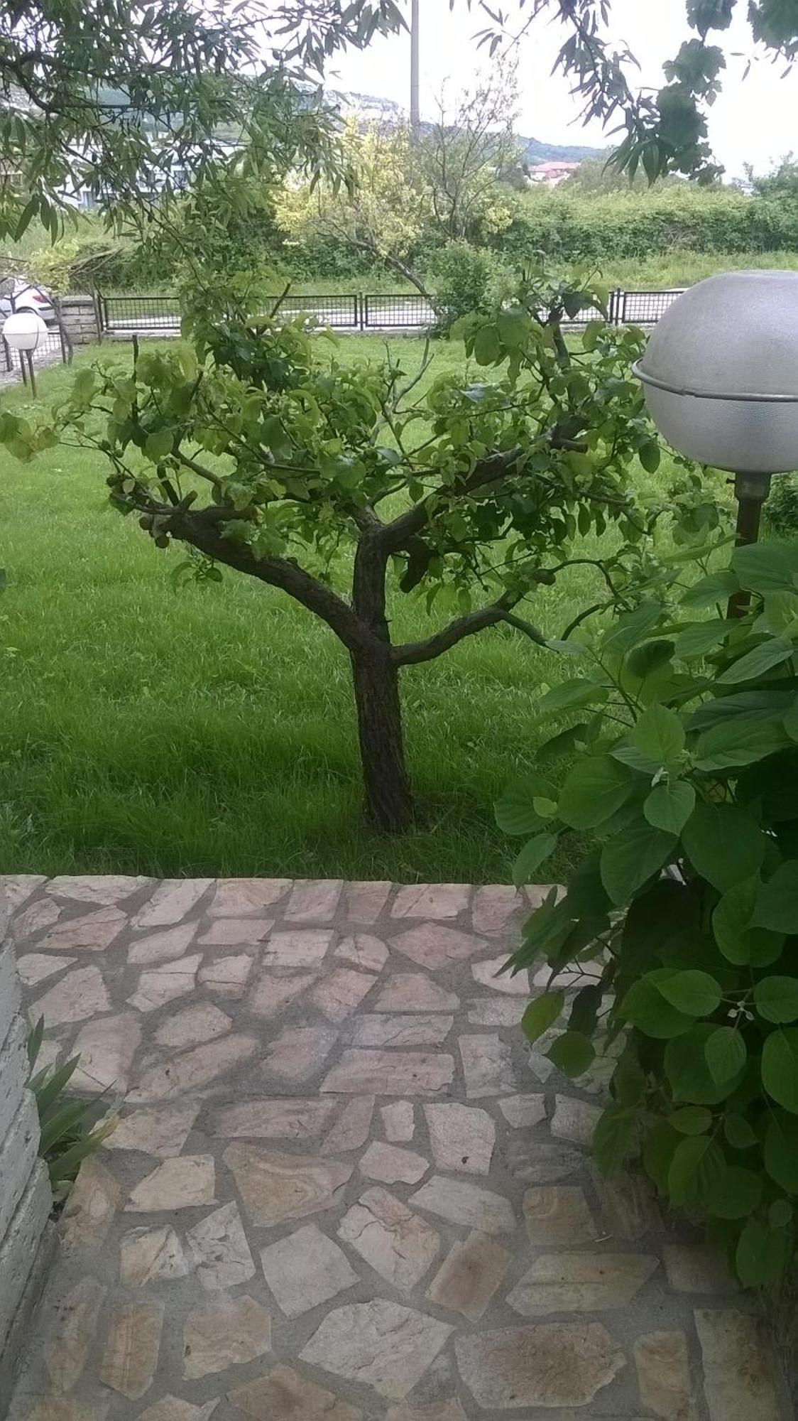Villa Elina Balchik Eksteriør billede